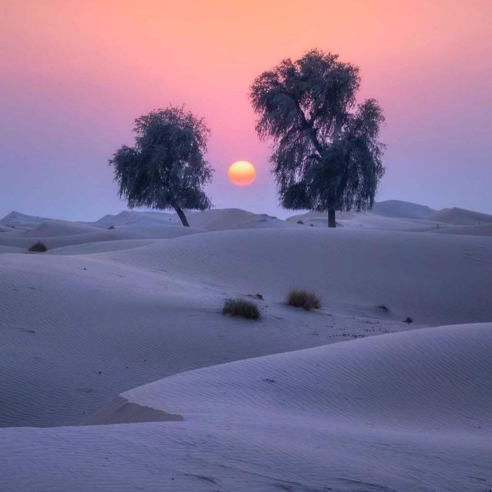 آهنگ جدید مجلسیمیز خودمانیدی - صدای زن ترکی